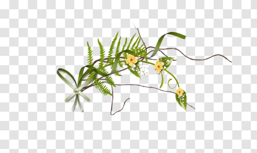 Plant Stem Flower Grasses Branch Autumn Transparent PNG