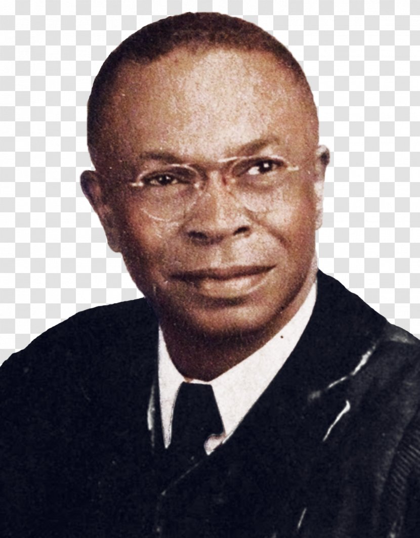 Henry Louis Gates Jr. Harvard University Arrest Controversy Black In Latin America The African Americans: Many Rivers To Cross - Ancestor - Terrell Ransom Jr Transparent PNG