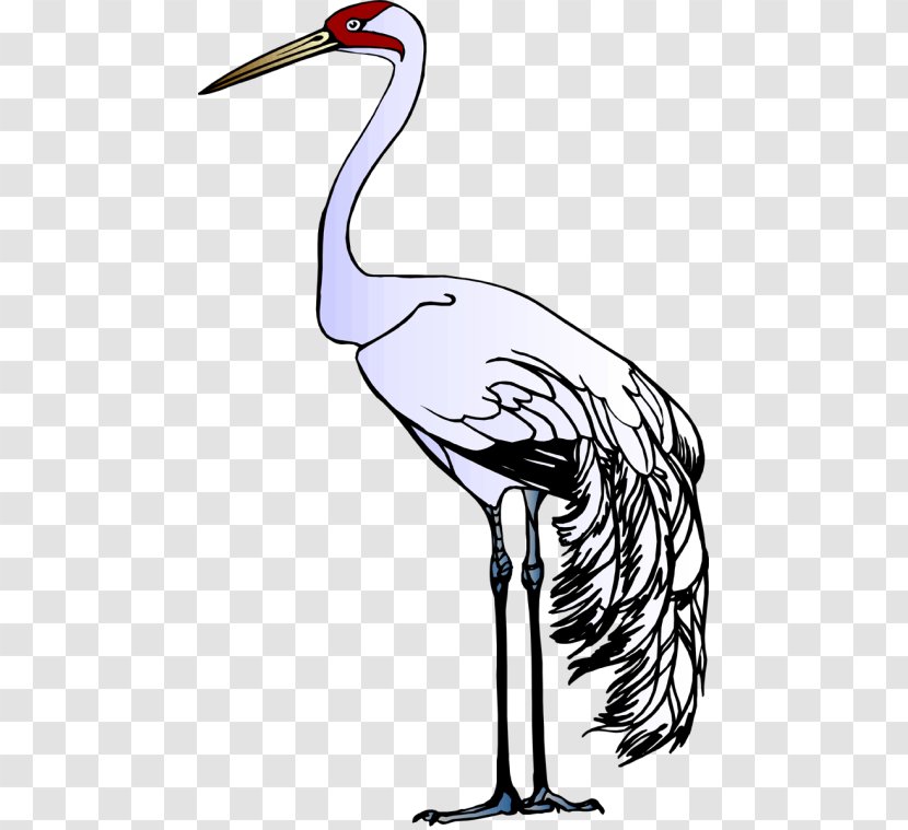 Red-crowned Crane Heron Stork Clip Art - Tree Transparent PNG