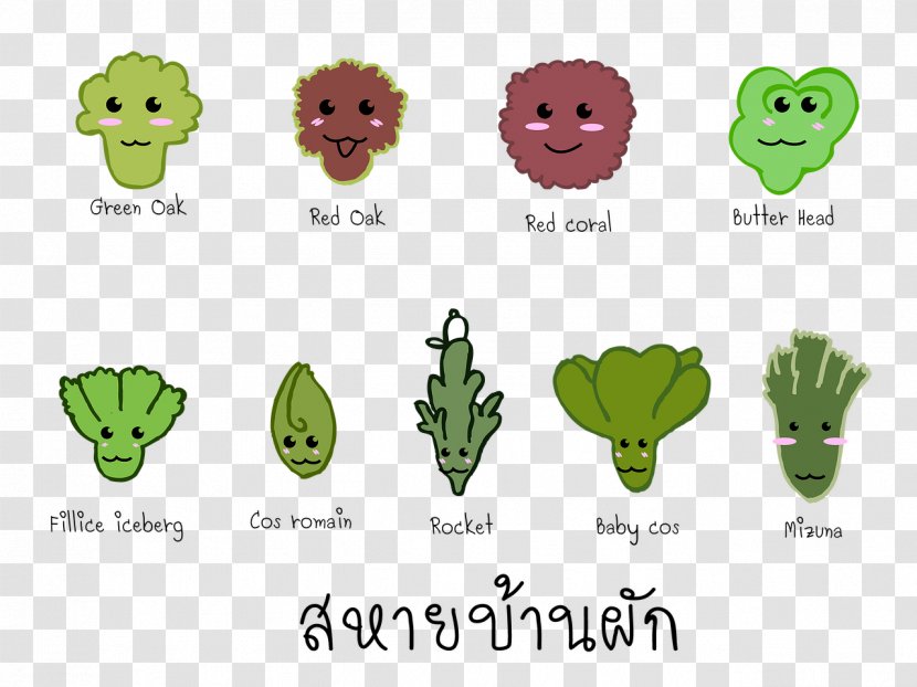 Amphibian Clip Art Green Product Tree - Leaf Transparent PNG
