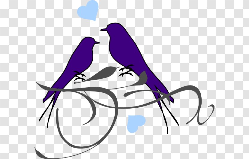 Lovebird Drawing Clip Art - Bird Transparent PNG