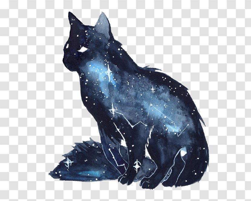 Dog Black Cat Kitten - Watercolor Painting - Ink Star Transparent PNG
