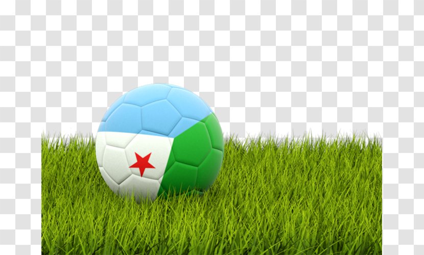 Senegal Africa Cup Of Nations FIFA World Arabian Gulf Football - Grass - Turf Transparent PNG