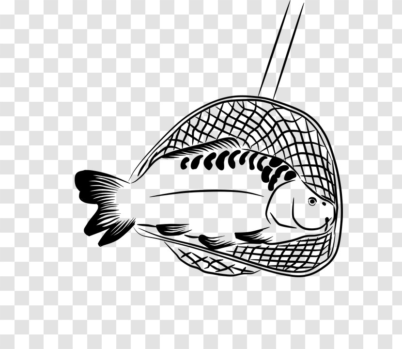 Fish Fish Line Art Coloring Book Black-and-white Transparent PNG