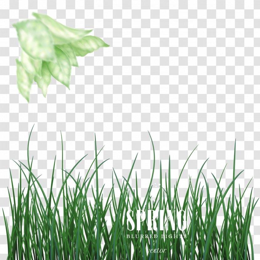 Green Euclidean Vector - Computer Graphics - Spring On The New Dream Grass Background Transparent PNG