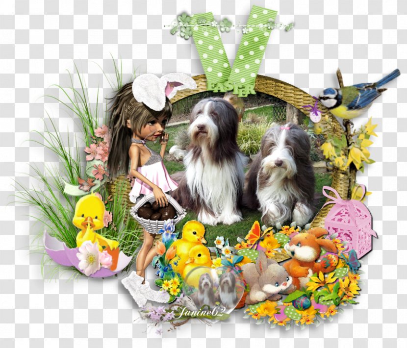 Dog Breed Shih Tzu Puppy Companion Easter Transparent PNG