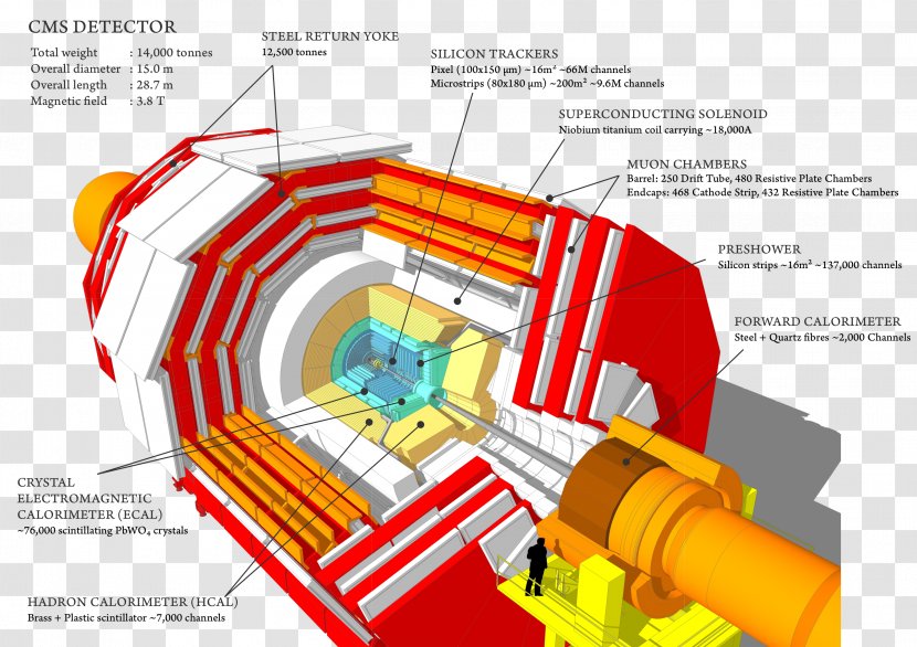 Compact Muon Solenoid CERN ATLAS Experiment Large Hadron Collider Higgs Boson - Web Layout Transparent PNG