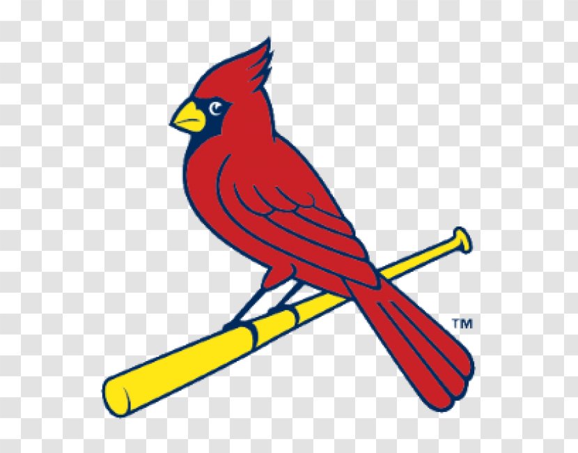 2017 St. Louis Cardinals Season Busch Stadium MLB Baseball - Painted Gray Wolf Transparent PNG