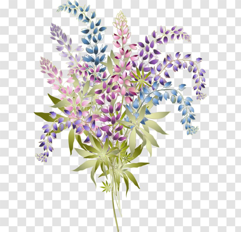 Lupine Royalty-free Clip Art - Plant Transparent PNG