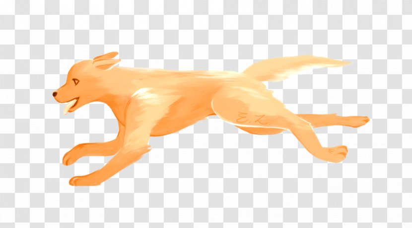 Dog Fauna Wildlife Canidae Tail - Mammal Transparent PNG