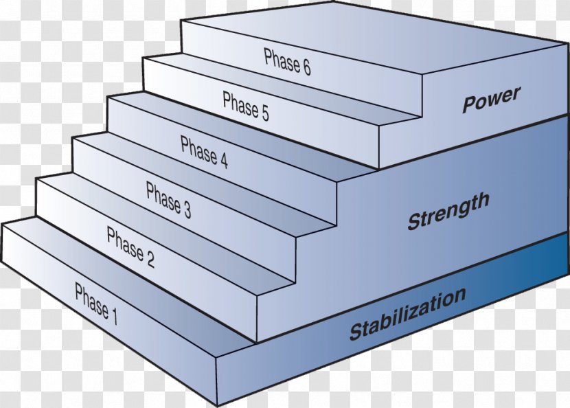 Sports Periodization Physical Fitness Training Centre National Academy Of Medicine - Strength - Phases Transparent PNG