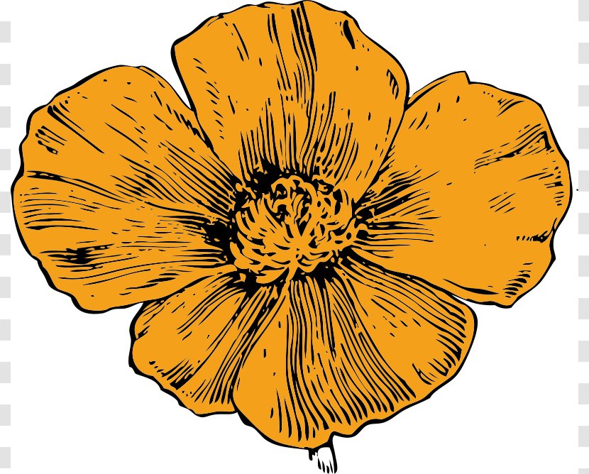 California Poppy Clip Art - Red - Flower Picture Guide Transparent PNG