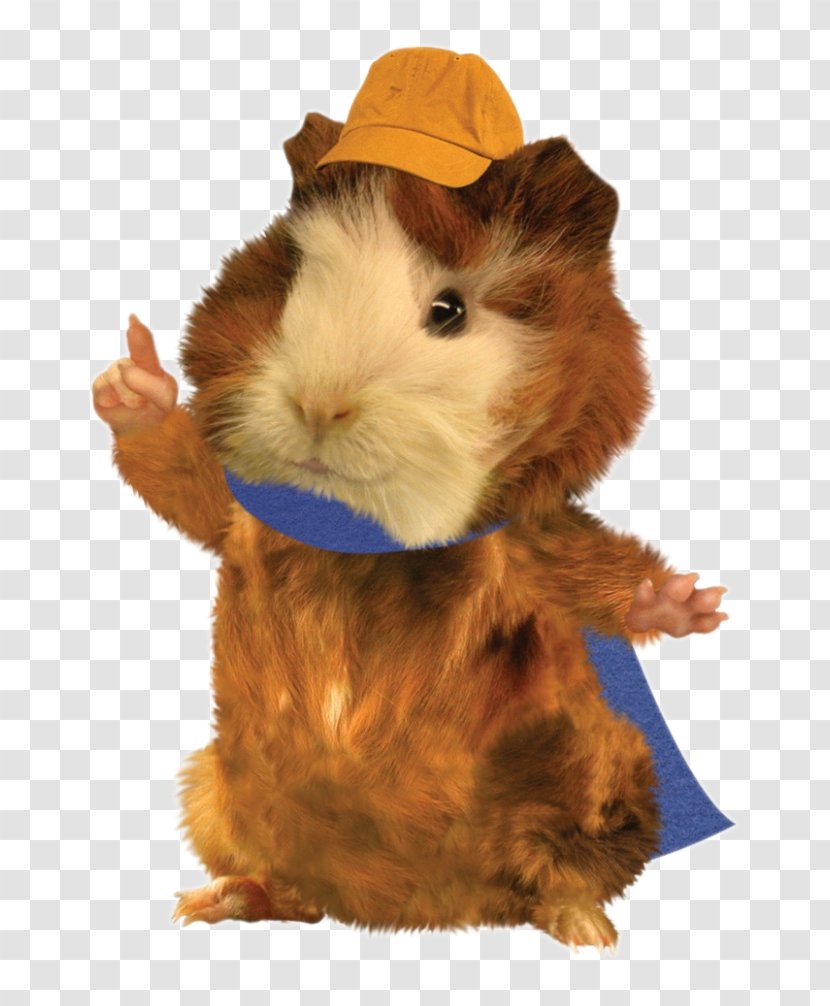 Linny The Guinea Pig Ming-Ming Duckling Nick Jr. Save Wonder Pets! - Pets - Jr Transparent PNG