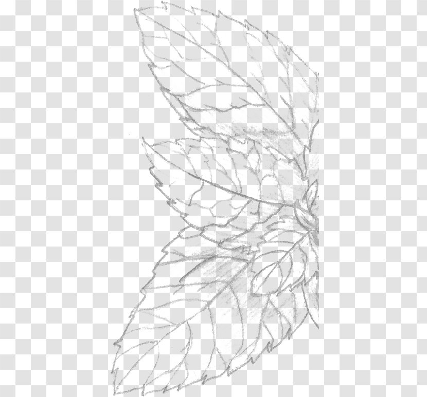 Sketch Pattern Line Art Point Angle - Plant - Moroccan Spices And Herbs Transparent PNG