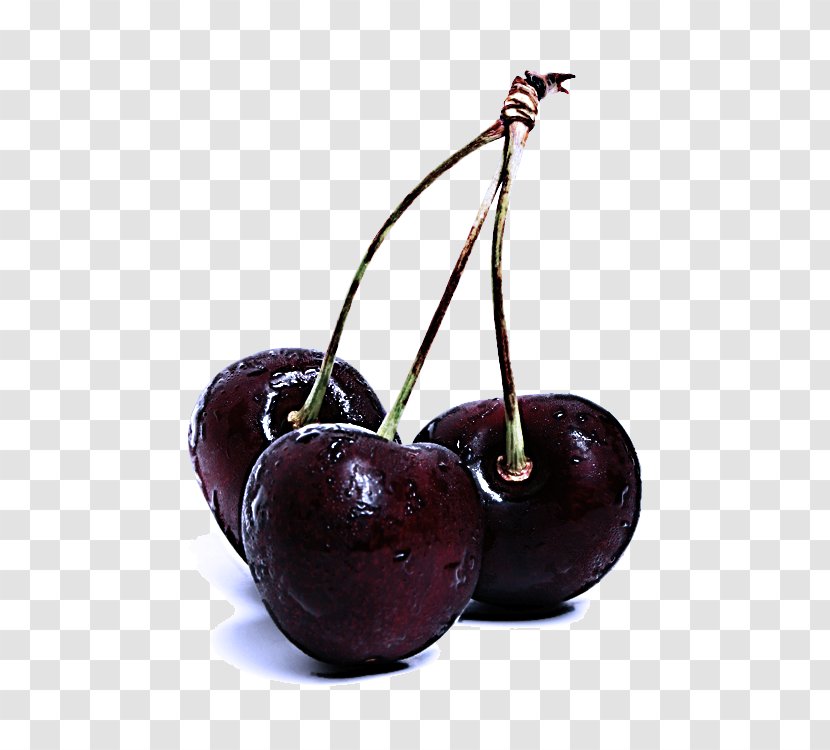 Cherry Fruit European Plum Plant Black - Prune Woody Transparent PNG