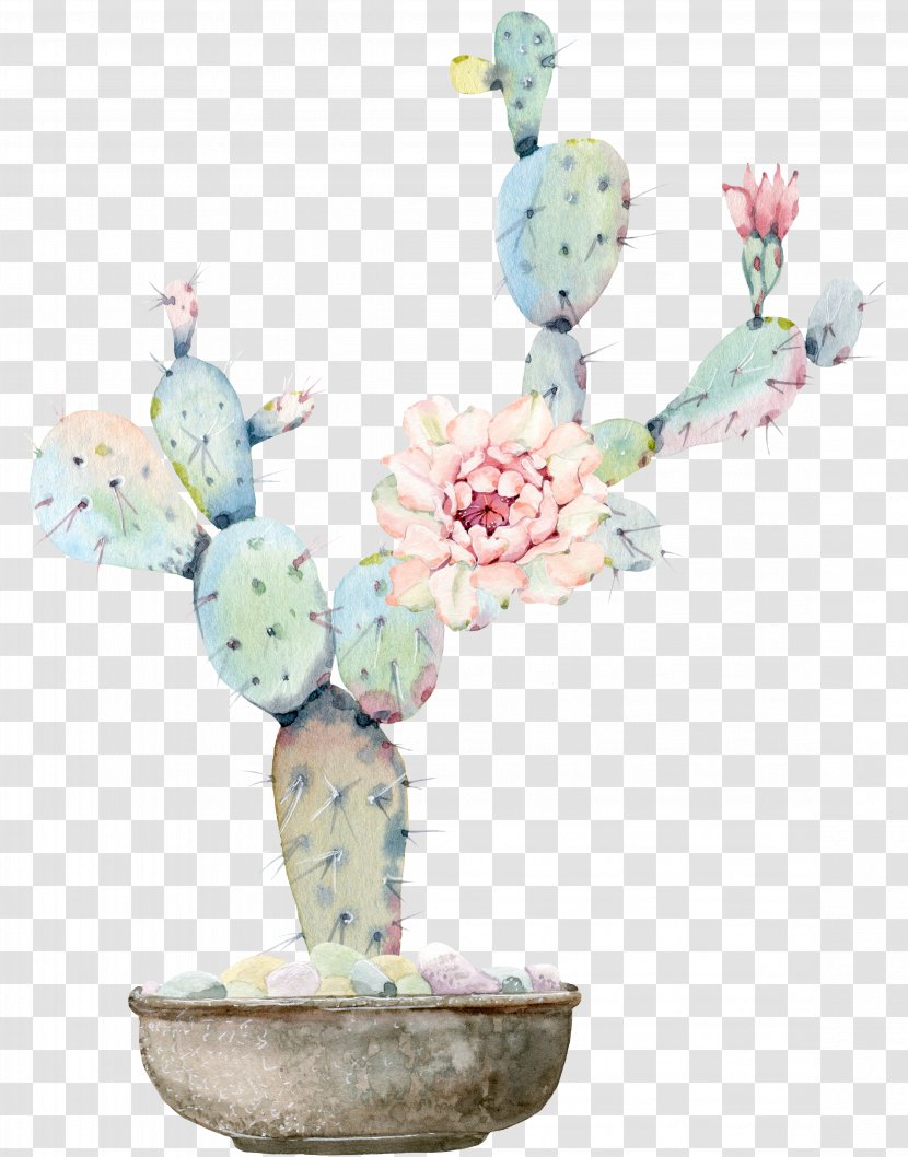 Watercolour Flowers Watercolor Painting Cactaceae Drawing - Flowering Plant - Water Color Flower, Green Cactus Transparent PNG