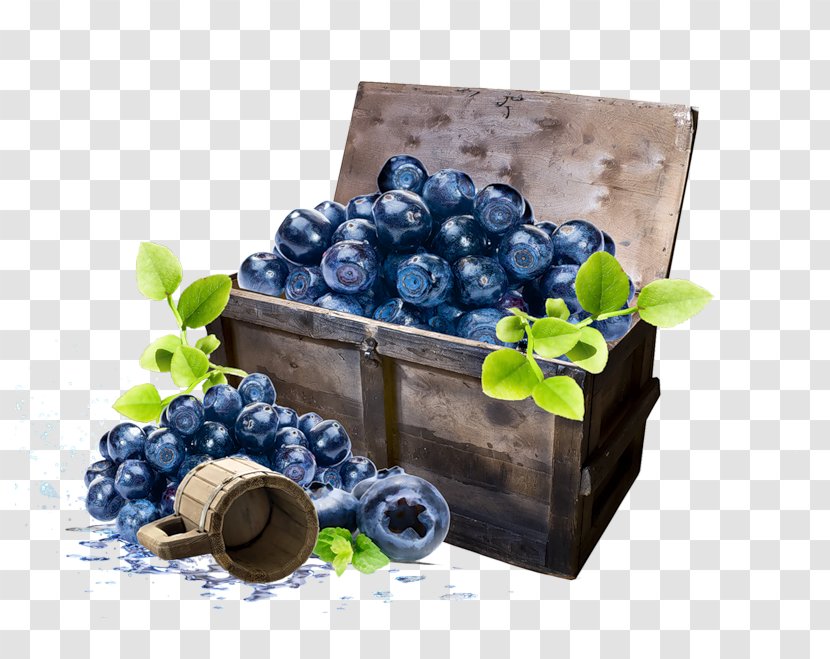 Blueberry Fruit Berries American Muffins Jam - Berry Transparent PNG
