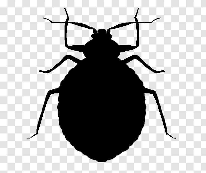 Mosquito Insect Bed Bug Bite Pest Control - Room - Bugs Transparent PNG