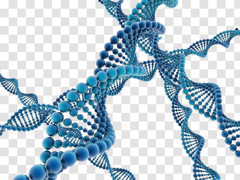 Stock Photography DNA Illustration - Gene - Free Downloads Transparent PNG