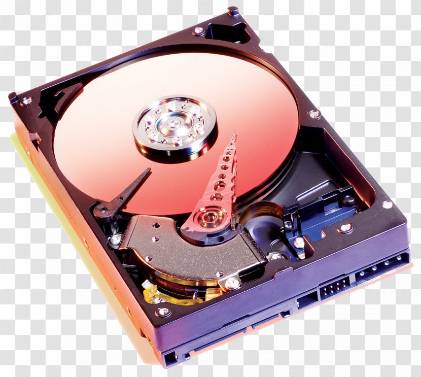 Hard Drives Parallel ATA Computer Data Storage - Electronic Device - Drive Transparent PNG