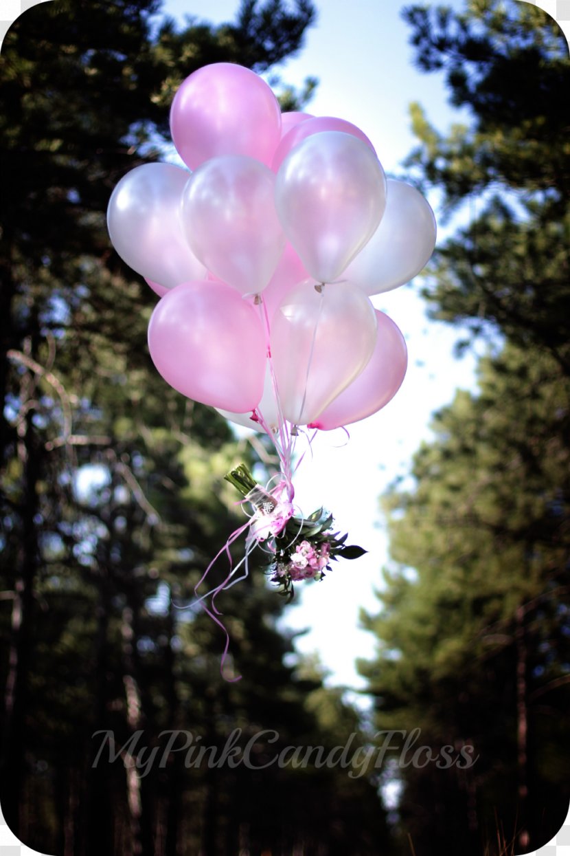 Balloon Pink M Petal - Flora Transparent PNG