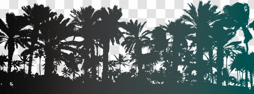 Arecaceae Tree Stock Photography Illustration - Date Palm - Vector Trees Silhouettes Transparent PNG