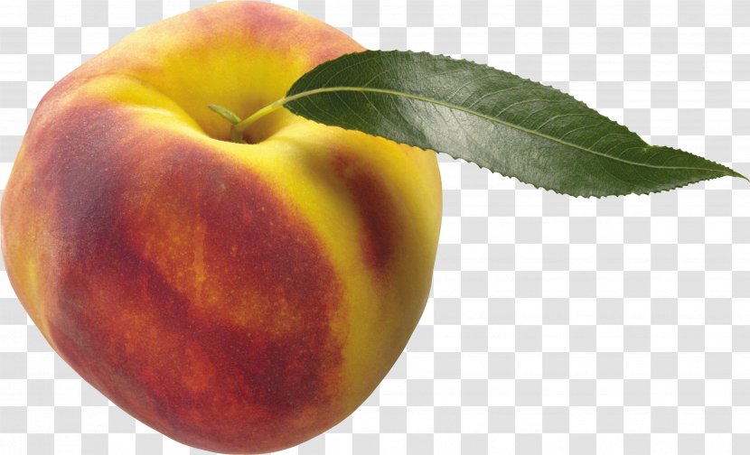 Apricot Nectarine Food Peach Transparent PNG