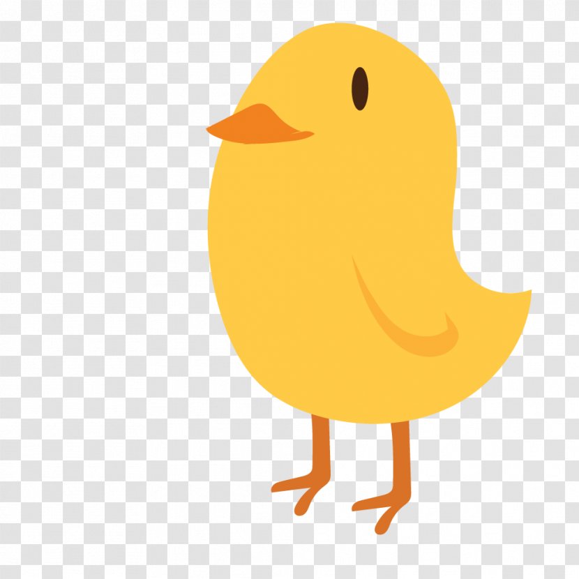 Chicken Duck Image Illustration - Resolution - Farm Transparent PNG