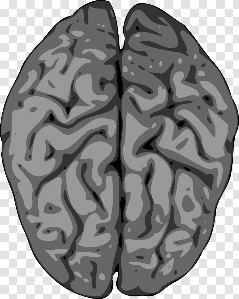 Human Brain Grey Matter Clip Art - Heart Transparent PNG