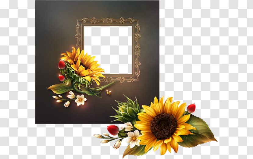 Common Sunflower Cut Flowers Floral Design - Floristry - Flower Transparent PNG