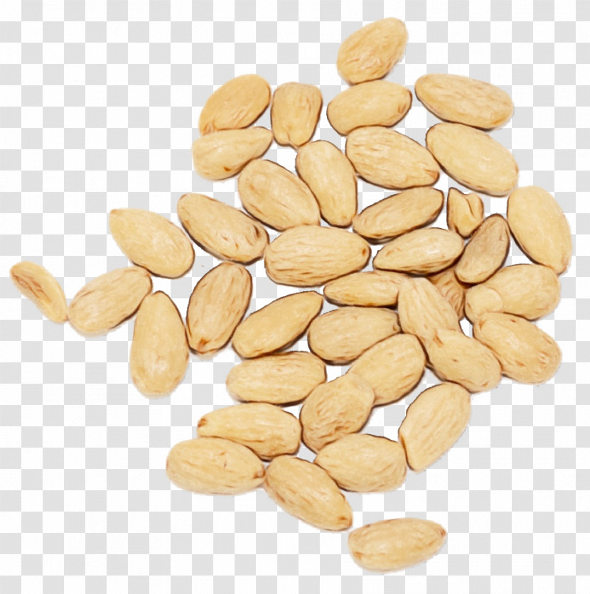 Vegetarian Cuisine Peanut Nut Superfood Commodity Transparent PNG