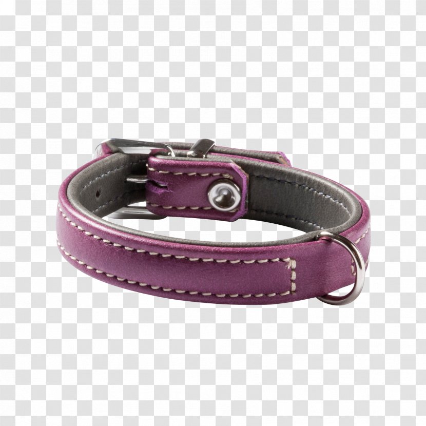 Dog Collar Strap - Belt Transparent PNG