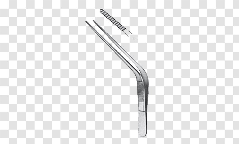 Angle Computer Hardware - Accessory - Dental Material Transparent PNG