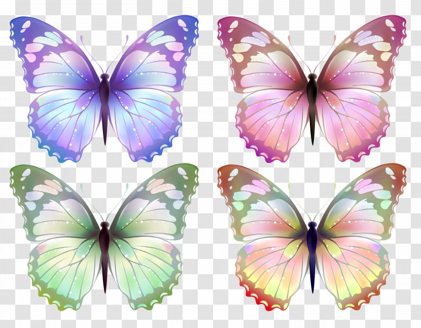 Butterfly Greta Oto Desktop Wallpaper Clip Art - Symmetry - Pink Transparent PNG