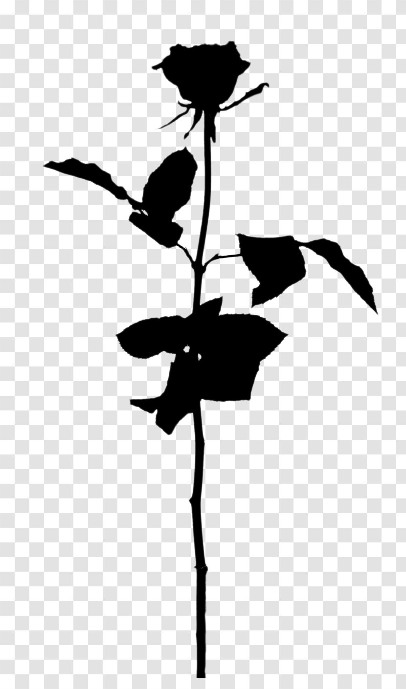 Twig Plant Stem Flower Leaf Silhouette - Branch Transparent PNG