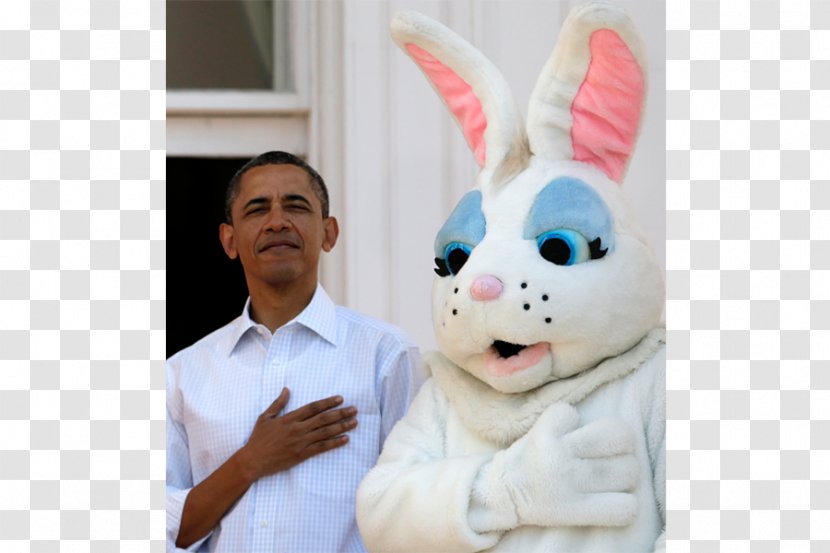 White House Easter Bunny Egg Rabbit - Plush Transparent PNG