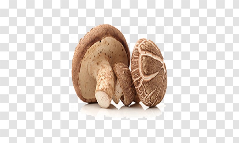 Common Mushroom Vegetable Shiitake Soup Transparent PNG