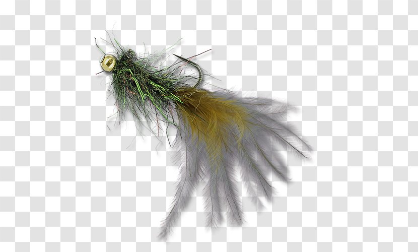 Leech Bead Feather The Fly Shop Brown - Bedale House Transparent PNG