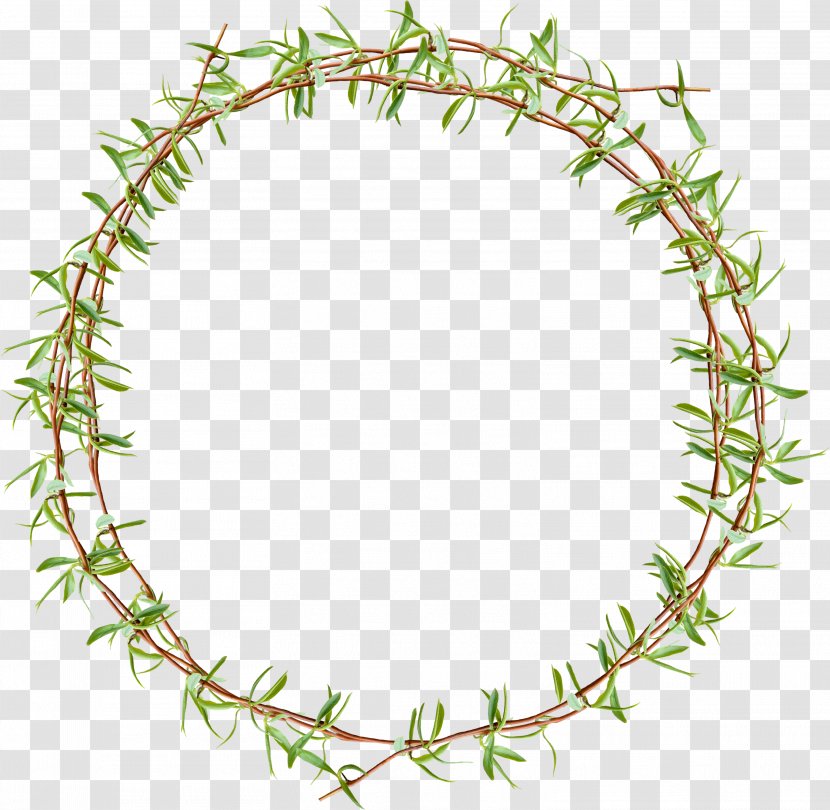 Plant Wreath Designer Rattan - Tree - Floating Grass Creative Circle Transparent PNG