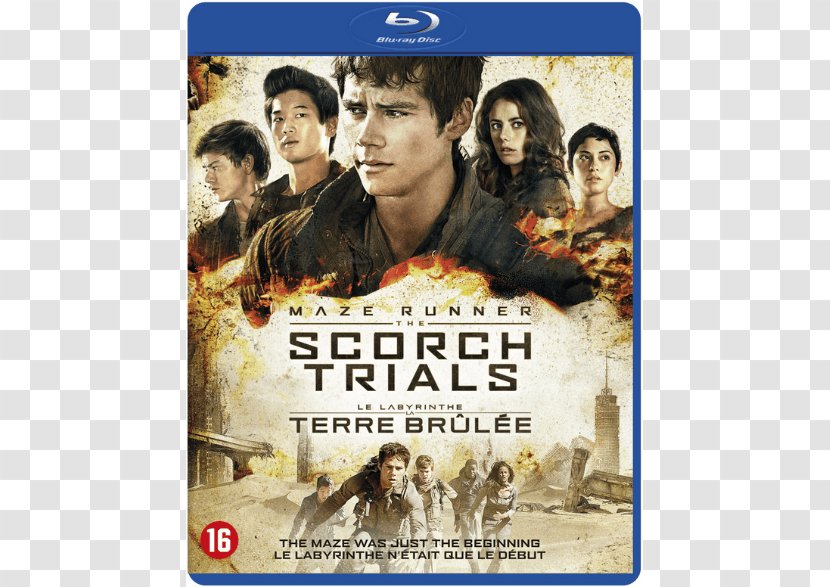 Dylan O'Brien Maze Runner: The Scorch Trials Blu-ray Disc Amazon.com - Runner - Dvd Transparent PNG