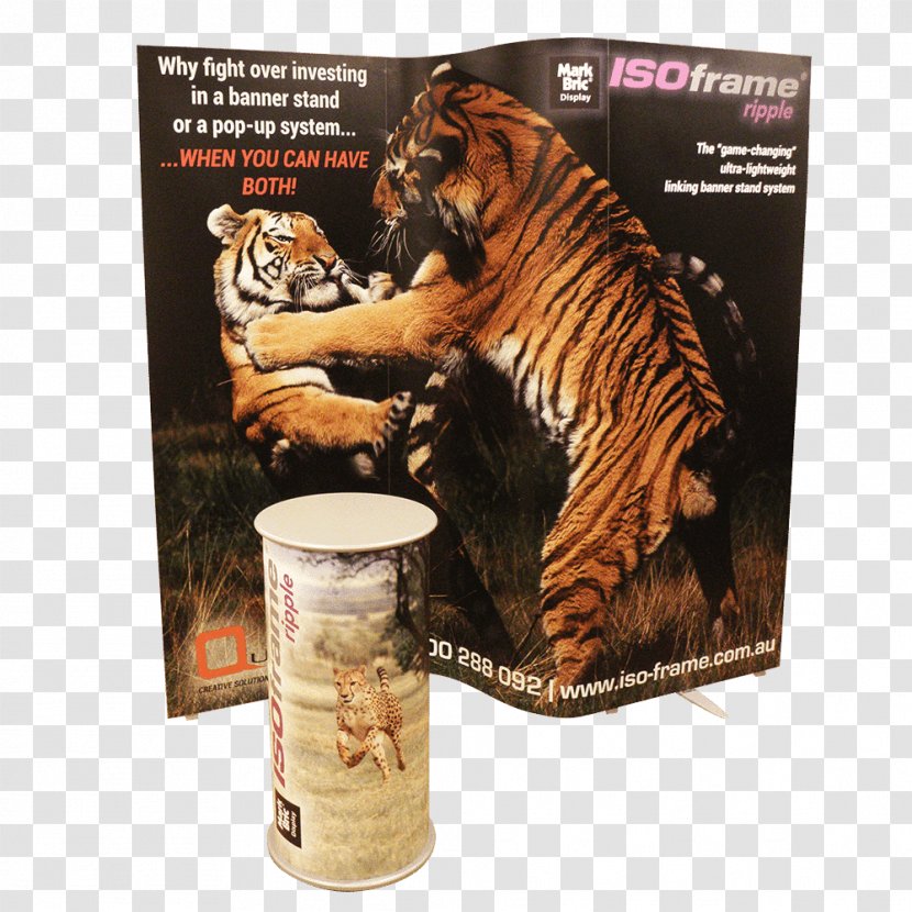 Tiger NVP Exhibits Exhibition Quantum Marketing YouTube - Mammal Transparent PNG