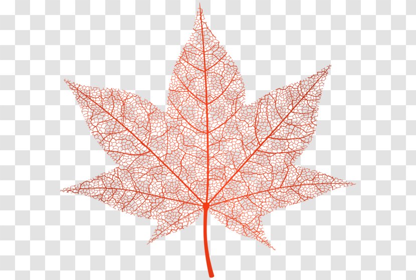 Autumn Leaf Color Maple Clip Art - Clipart Transparent PNG