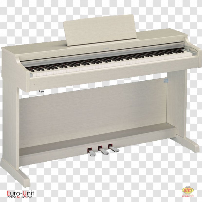 Digital Piano Yamaha Corporation Keyboard Musical Instruments - Instrument Transparent PNG