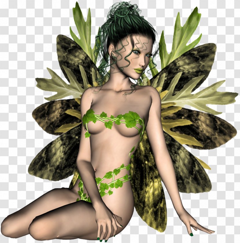 Fairy Tree Insect Transparent PNG