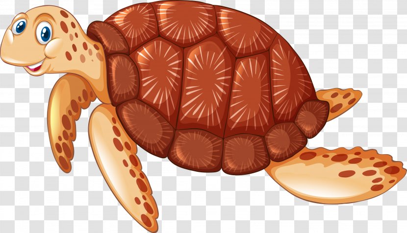 Sea Turtle Illustration - Jellyfish - Vector Transparent PNG