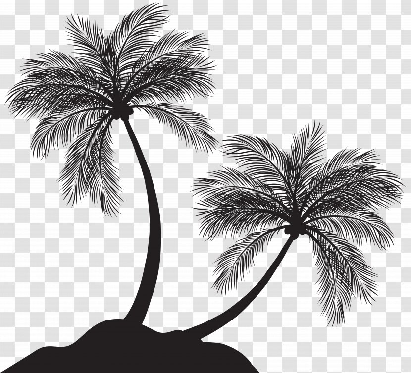 Arecaceae Silhouette Clip Art - Arecales - Two Palm Trees Transparent PNG