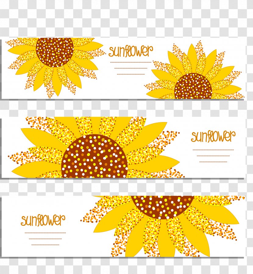 Common Sunflower Banner - Drawing - Greeting Card Transparent PNG