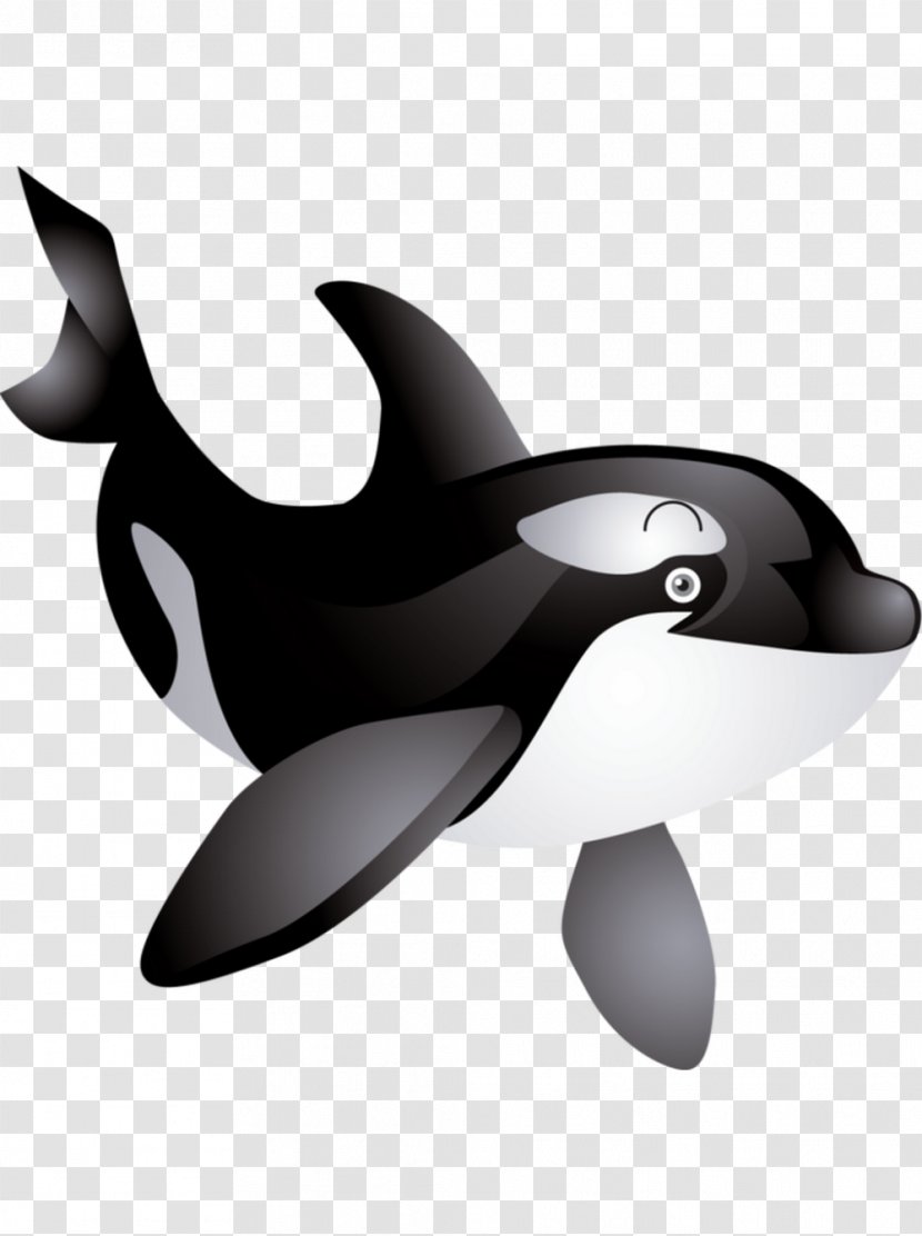 Killer Whale Baby Clip Art - Mammal - Creature Transparent PNG