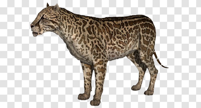 Saber-toothed Tiger Cat Dinofelis - Nimravidae Transparent PNG