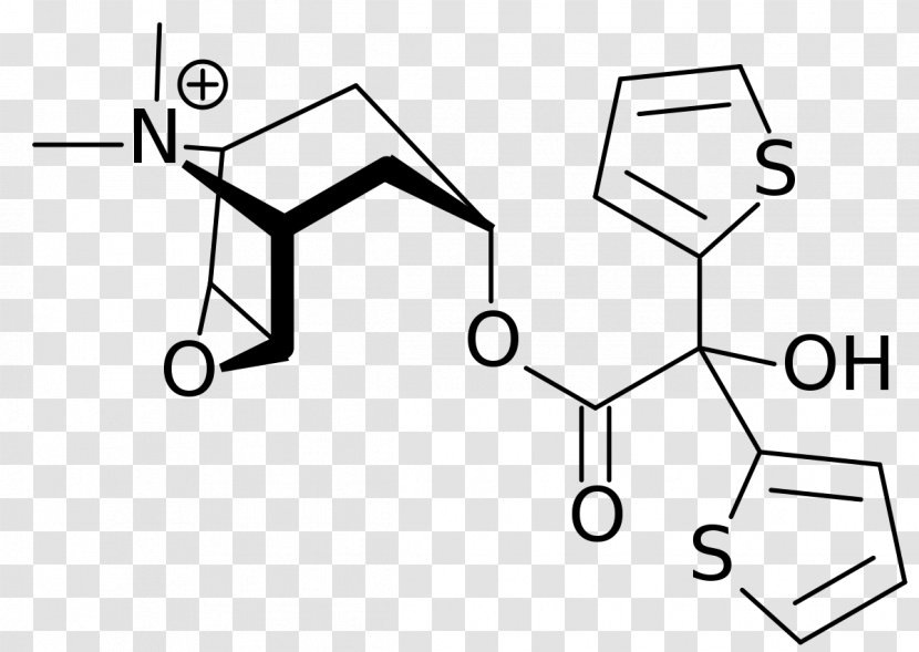 Alcoholic Korsakoff Syndrome Tiotropium Bromide Disease Ipratropium Wernicke–Korsakoff - Diagram - Opium Transparent PNG